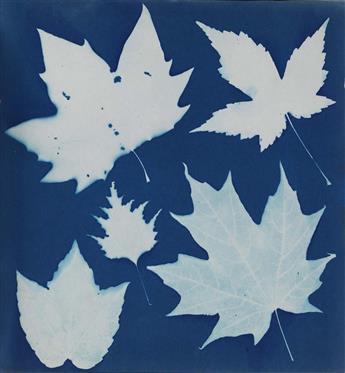 (CYANOTYPE) Handmade album containing 19 beautiful botanical photograms, each printed in cyanotype, that was apparently created by Flor